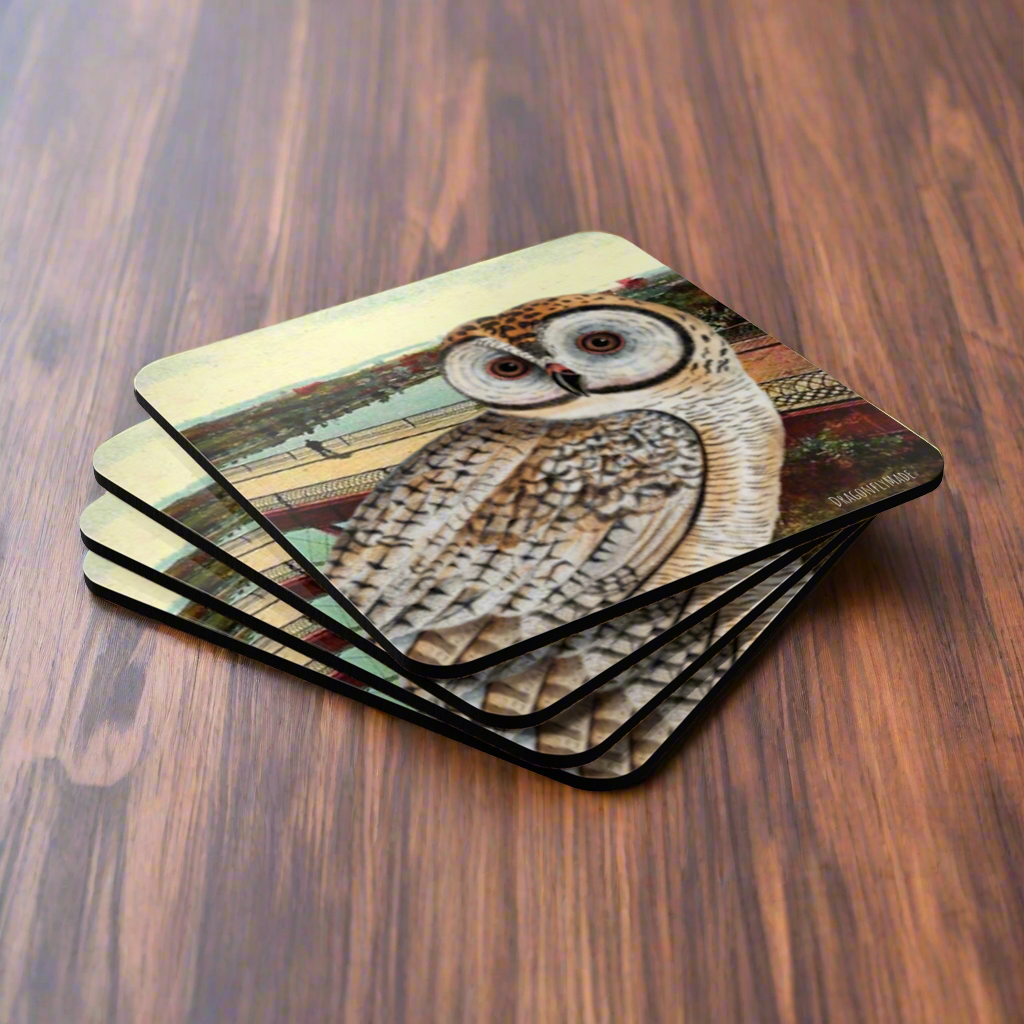 Spotted Owl corkwood coaster set
