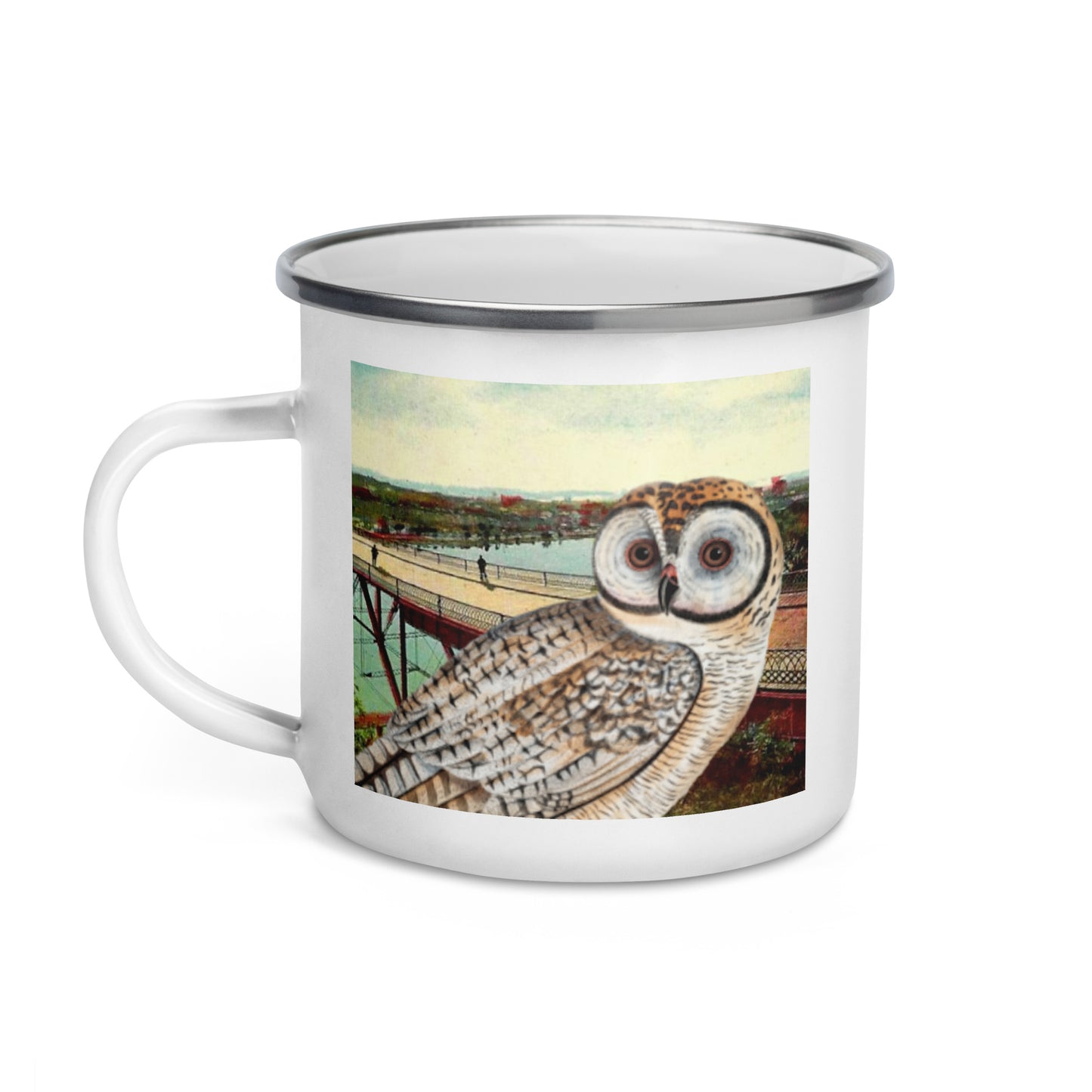 Spotted Owl enamel mug